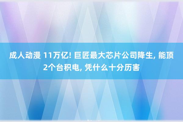 成人动漫 11万亿! 巨匠最大芯片公司降生， 能顶2个台积电， 凭什么十分历害
