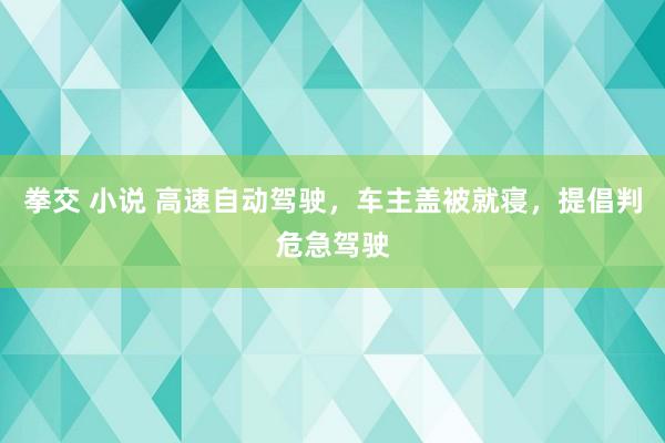 拳交 小说 高速自动驾驶，车主盖被就寝，提倡判危急驾驶