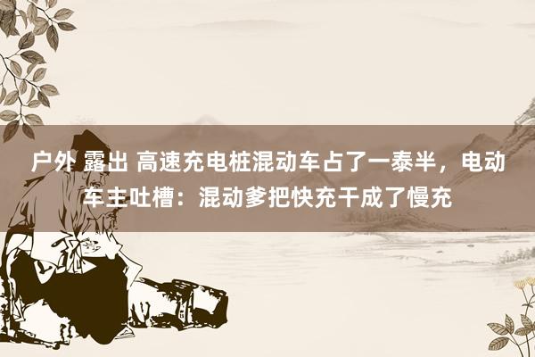 户外 露出 高速充电桩混动车占了一泰半，电动车主吐槽：混动爹把快充干成了慢充