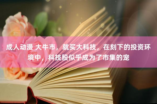 成人动漫 大牛市，就买大科技，在刻下的投资环境中，科技股似乎成为了市集的宠