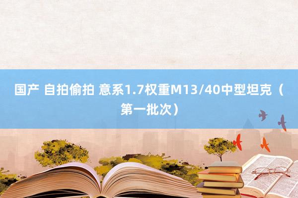 国产 自拍偷拍 意系1.7权重M13/40中型坦克（第一批次）