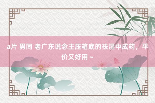 a片 男同 老广东说念主压箱底的祛湿中成药,平价又好用~
