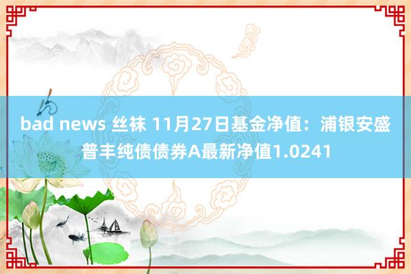 bad news 丝袜 11月27日基金净值：浦银安盛普丰纯债债券A最新净值1.0241