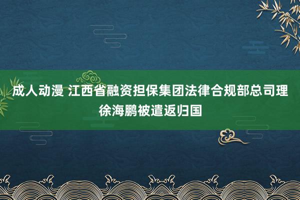 成人动漫 江西省融资担保集团法律合规部总司理徐海鹏被遣返归国