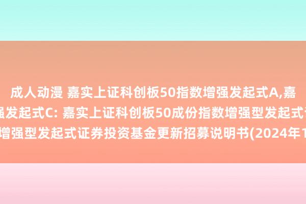 成人动漫 嘉实上证科创板50指数增强发起式A,嘉实上证科创板50指数增强发起式C: 嘉实上证科创板50成份指数增强型发起式证券投资基金更新招募说明书(2024年12月03日更新)