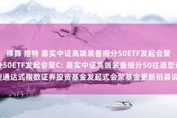 裸舞 推特 嘉实中证高端装备细分50ETF发起会聚A,嘉实中证高端装备细分50ETF发起会聚C: 嘉实中证高端装备细分50往返型通达式指数证券投资基金发起式会聚基金更新招募说明书(2024年12月03日更新)