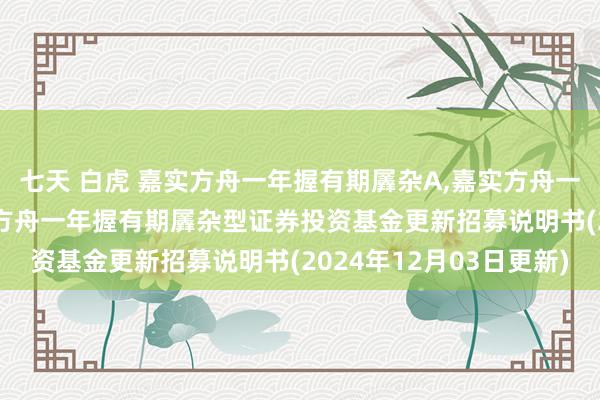七天 白虎 嘉实方舟一年握有期羼杂A,嘉实方舟一年握有期羼杂C: 嘉实方舟一年握有期羼杂型证券投资基金更新招募说明书(2024年12月03日更新)