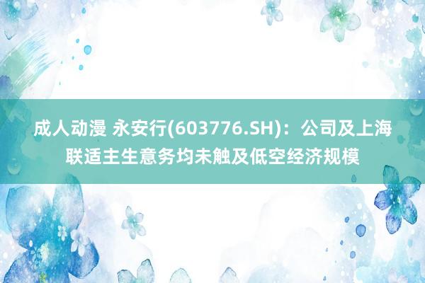 成人动漫 永安行(603776.SH)：公司及上海联适主生意务均未触及低空经济规模