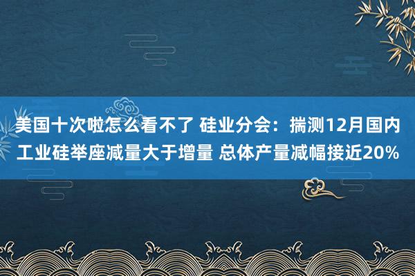 美国十次啦怎么看不了 硅业分会：揣测12月国内工业硅举座减量大于增量 总体产量减幅接近20%