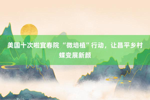 美国十次啦宜春院 “微培植”行动，让昌平乡村蝶变展新颜