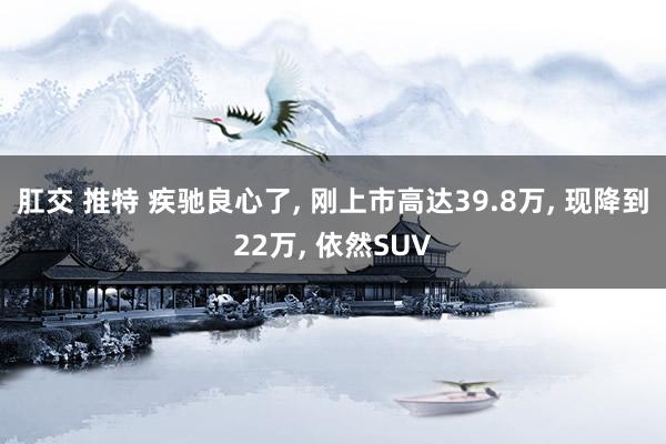 肛交 推特 疾驰良心了， 刚上市高达39.8万， 现降到22万， 依然SUV