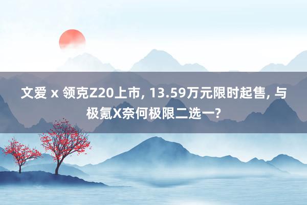 文爱 x 领克Z20上市， 13.59万元限时起售， 与极氪X奈何极限二选一?