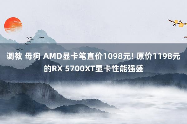 调教 母狗 AMD显卡笔直价1098元! 原价1198元的RX 5700XT显卡性能强盛