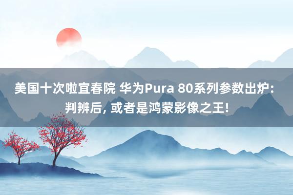美国十次啦宜春院 华为Pura 80系列参数出炉: 判辨后， 或者是鸿蒙影像之王!
