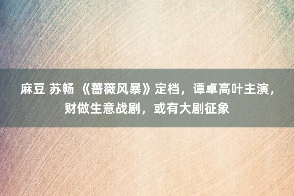 麻豆 苏畅 《蔷薇风暴》定档，谭卓高叶主演，财做生意战剧，或有大剧征象