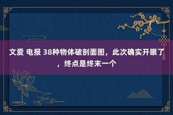 文爱 电报 38种物体破剖面图，此次确实开眼了，终点是终末一个