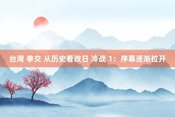 台灣 拳交 从历史看改日 冷战 1：序幕逐渐拉开