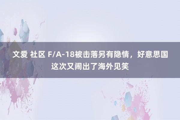 文爱 社区 F/A-18被击落另有隐情，好意思国这次又闹出了海外见笑
