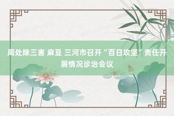 周处除三害 麻豆 三河市召开“百日攻坚”责任开展情况诊治会议