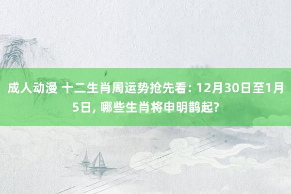成人动漫 十二生肖周运势抢先看: 12月30日至1月5日， 哪些生肖将申明鹊起?