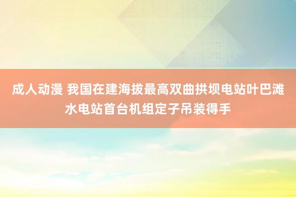 成人动漫 我国在建海拔最高双曲拱坝电站叶巴滩水电站首台机组定子吊装得手