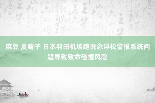 麻豆 夏晴子 日本羽田机场跑说念浮松警报系统问题导致致命碰撞风险