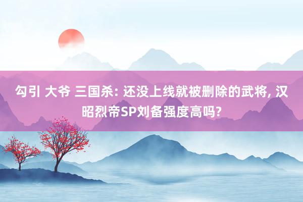 勾引 大爷 三国杀: 还没上线就被删除的武将， 汉昭烈帝SP刘备强度高吗?