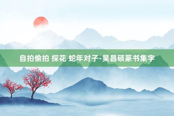 自拍偷拍 探花 蛇年对子-吴昌硕篆书集字