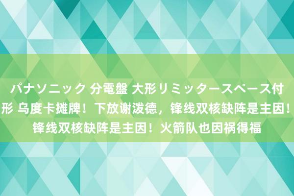 パナソニック 分電盤 大形リミッタースペース付 露出・半埋込両用形 乌度卡摊牌！下放谢泼德，锋线双核缺阵是主因！火箭队也因祸得福