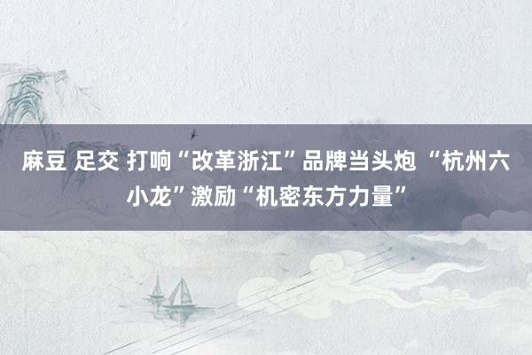 麻豆 足交 打响“改革浙江”品牌当头炮 “杭州六小龙”激励“机密东方力量”