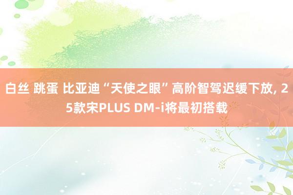 白丝 跳蛋 比亚迪“天使之眼”高阶智驾迟缓下放， 25款宋PLUS DM-i将最初搭载