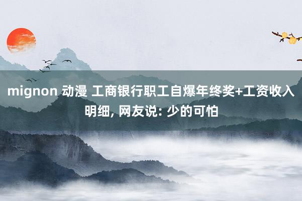 mignon 动漫 工商银行职工自爆年终奖+工资收入明细， 网友说: 少的可怕
