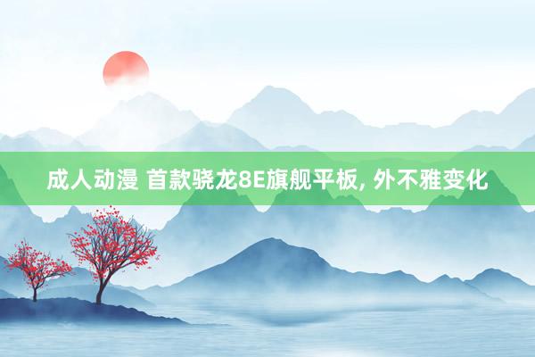成人动漫 首款骁龙8E旗舰平板， 外不雅变化
