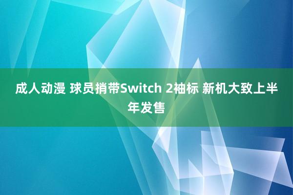 成人动漫 球员捎带Switch 2袖标 新机大致上半年发售