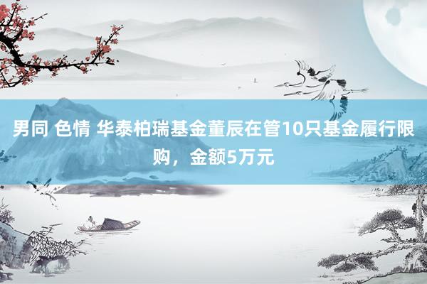 男同 色情 华泰柏瑞基金董辰在管10只基金履行限购，金额5万元