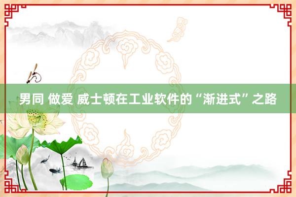 男同 做爱 威士顿在工业软件的“渐进式”之路