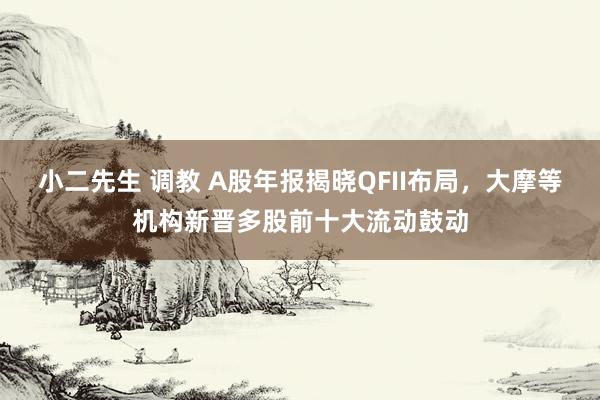 小二先生 调教 A股年报揭晓QFII布局，大摩等机构新晋多股前十大流动鼓动