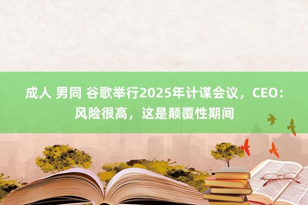 成人 男同 谷歌举行2025年计谋会议，CEO：风险很高，这是颠覆性期间