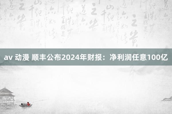 av 动漫 顺丰公布2024年财报：净利润任意100亿