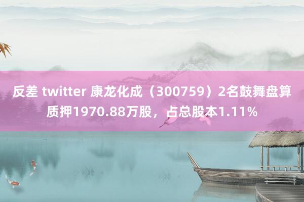 反差 twitter 康龙化成（300759）2名鼓舞盘算质押1970.88万股，占总股本1.11%