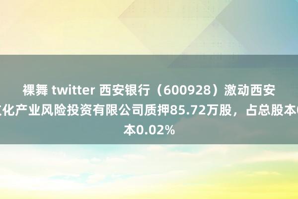 裸舞 twitter 西安银行（600928）激动西安曲江文化产业风险投资有限公司质押85.72万股，占总股本0.02%
