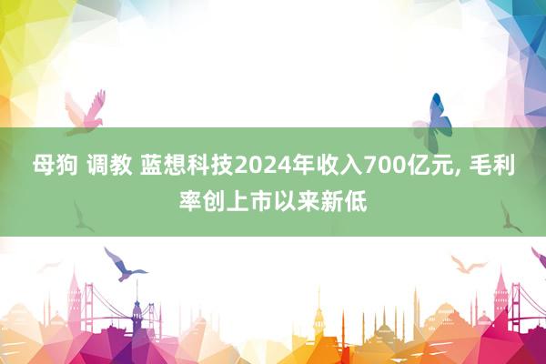 母狗 调教 蓝想科技2024年收入700亿元， 毛利率创上市以来新低