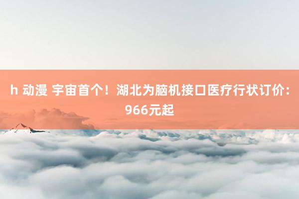 h 动漫 宇宙首个！湖北为脑机接口医疗行状订价：966元起