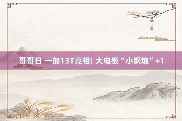 哥哥日 一加13T亮相! 大电板“小钢炮”+1