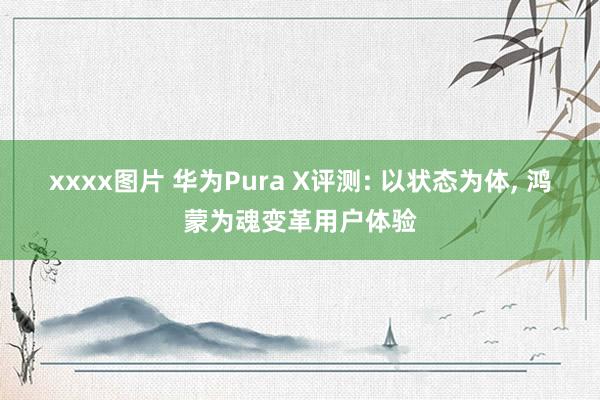 xxxx图片 华为Pura X评测: 以状态为体， 鸿蒙为魂变革用户体验