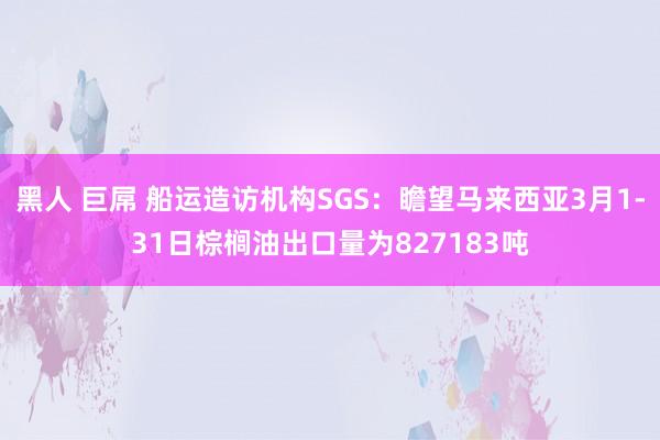 黑人 巨屌 船运造访机构SGS：瞻望马来西亚3月1-31日棕榈油出口量为827183吨