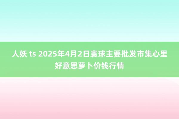 人妖 ts 2025年4月2日寰球主要批发市集心里好意思萝卜价钱行情