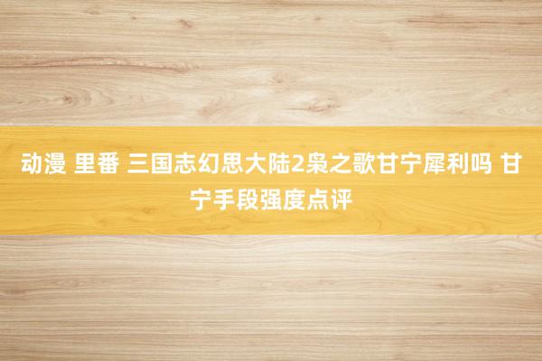 动漫 里番 三国志幻思大陆2枭之歌甘宁犀利吗 甘宁手段强度点评