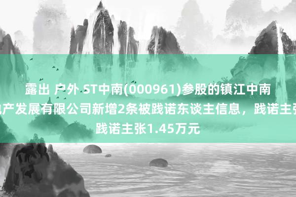 露出 户外 ST中南(000961)参股的镇江中南新锦城房地产发展有限公司新增2条被践诺东谈主信息，践诺主张1.45万元