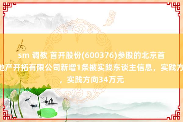 sm 调教 首开股份(600376)参股的北京首开万科房地产开拓有限公司新增1条被实践东谈主信息，实践方向34万元